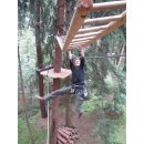 Overhead ladder made of lerch wood 2,5 m