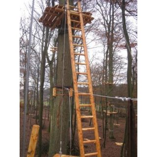 Wood Ladder (Larch)