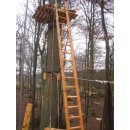 Larch wood ladder 1.8 m